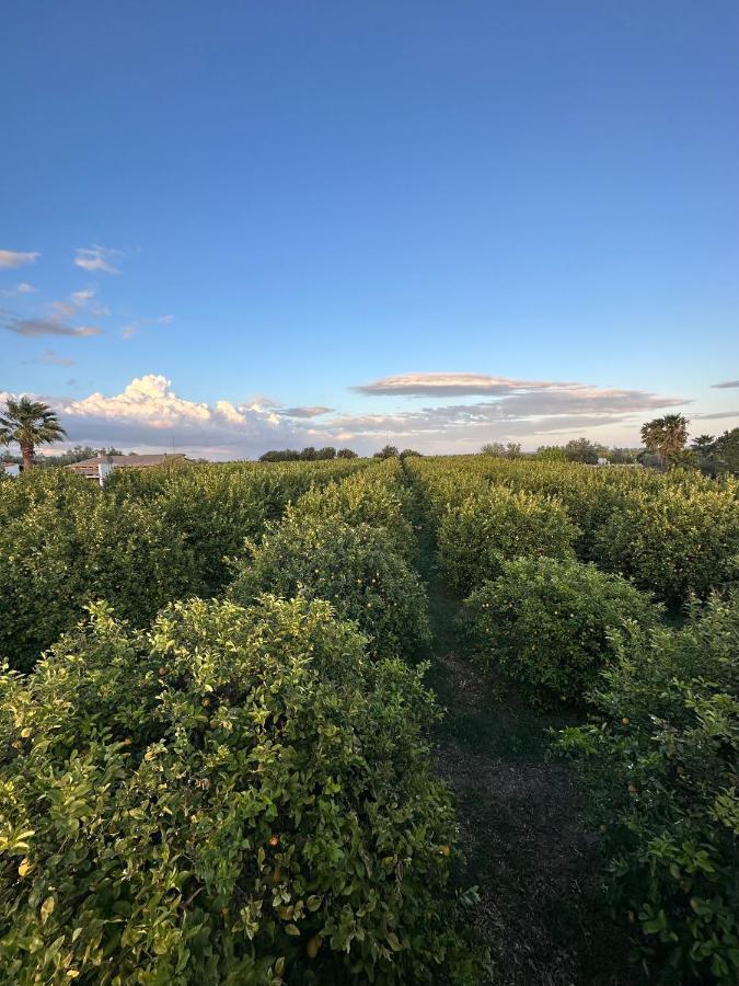Villa Primofiore Di Vendicari La Banca Buitenkant foto